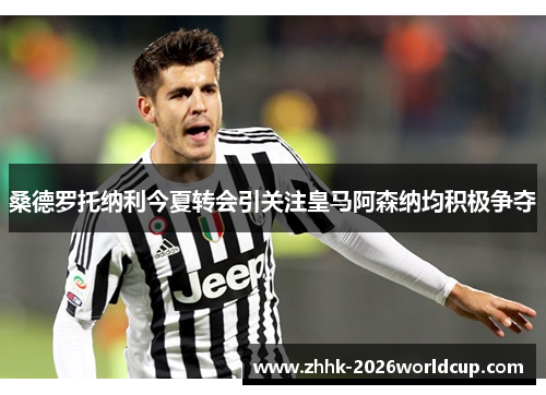 桑德罗托纳利今夏转会引关注皇马阿森纳均积极争夺