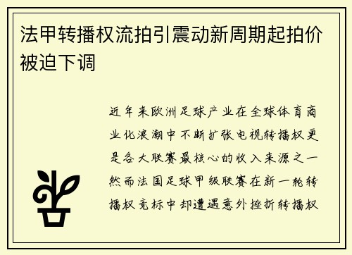法甲转播权流拍引震动新周期起拍价被迫下调 法甲转播权流拍引震动新周期起拍价被迫下调